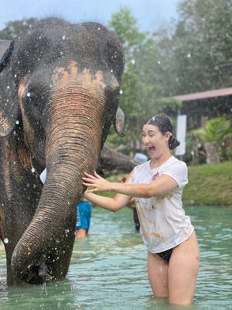 thailand — 04 elephant splash